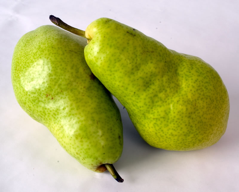 New Crop Northwest Bartlet Pears