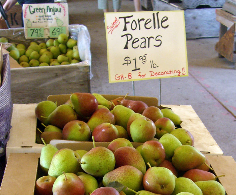 Pears for sale Hood River OR