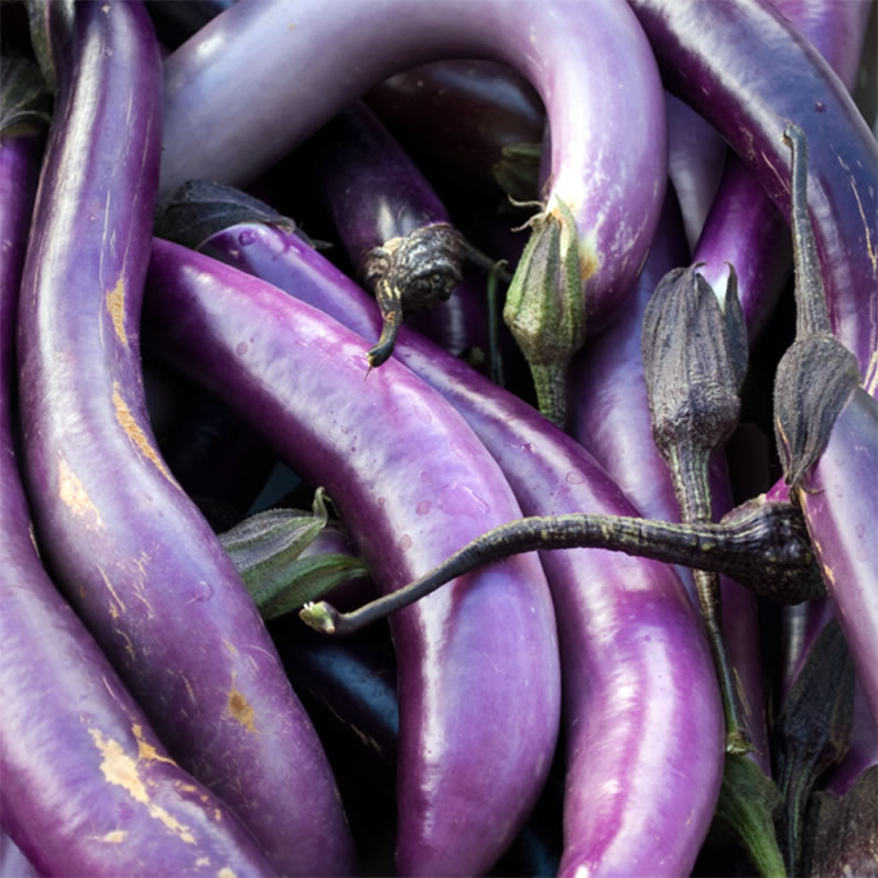 University Farmer's Market Eggplant 1