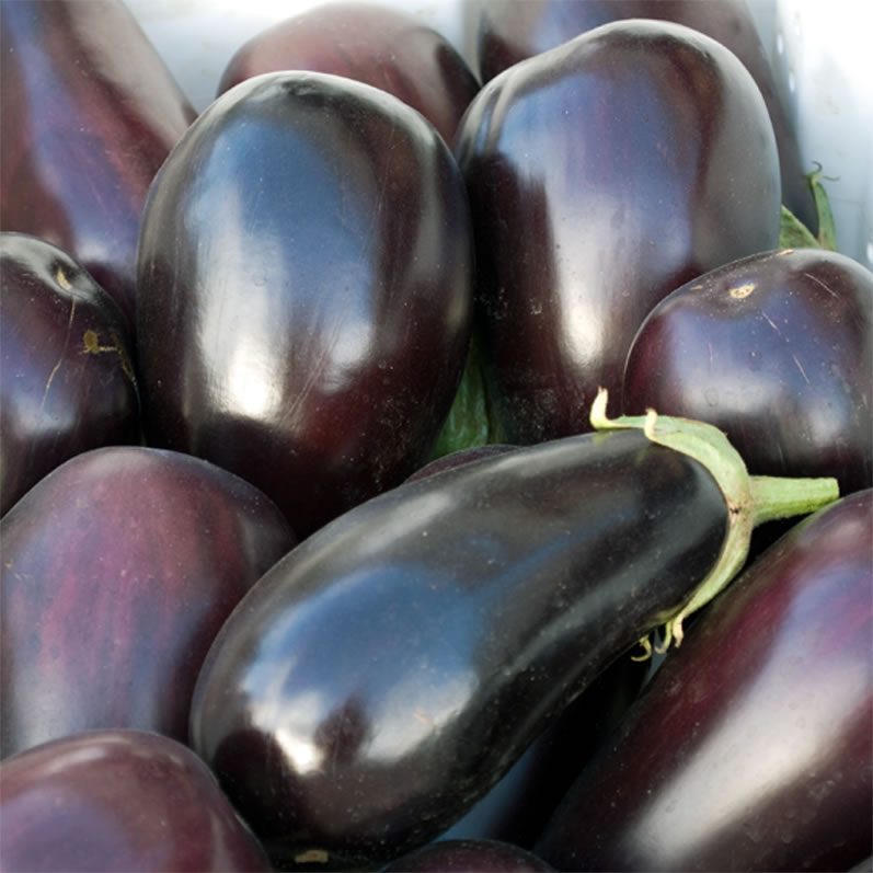 University Farmer's Market Eggplant 2