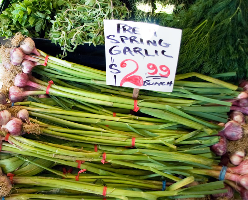 Fresh Spring Garlic at University District Farmers Market in April
