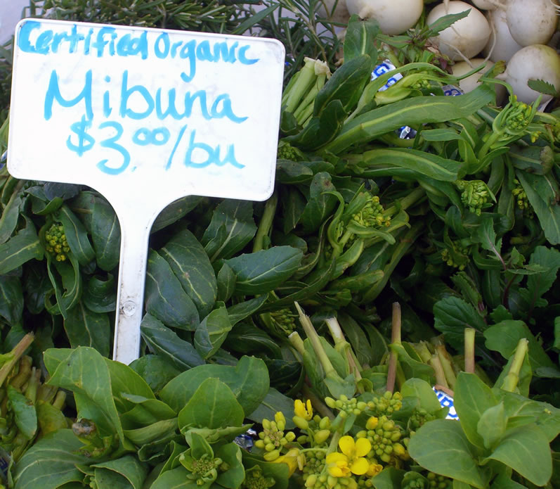 Mibuna at University District Farmers Market in April
