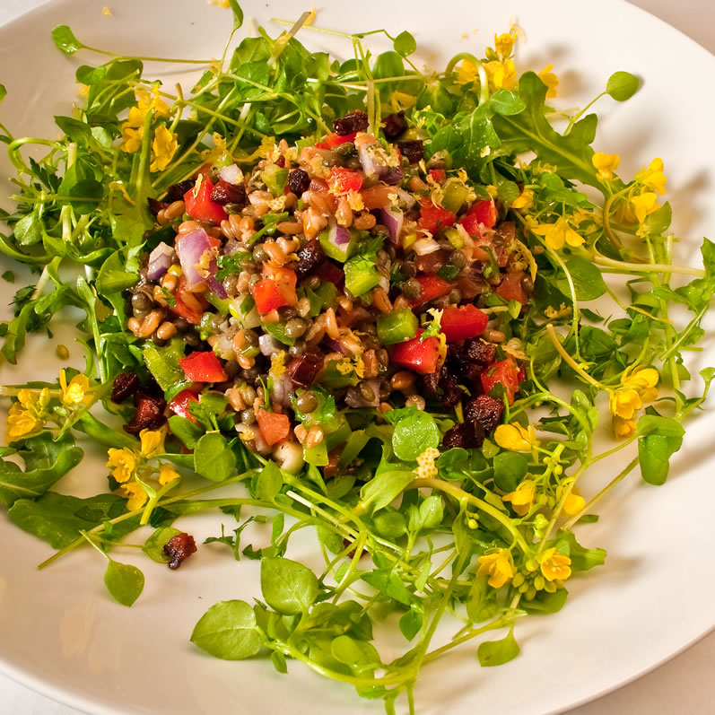 Northwest Early Spring Farro & Lentil Salad | LunaCafe
