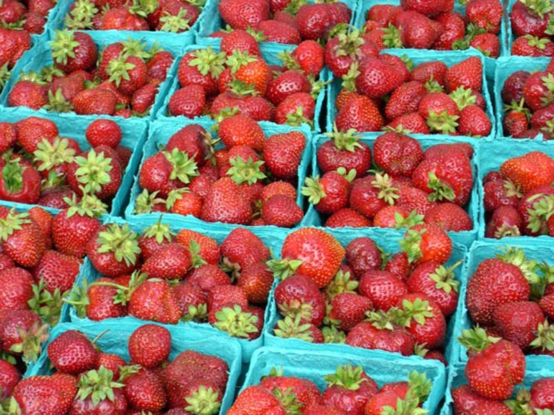 Strawberries on display U 2.