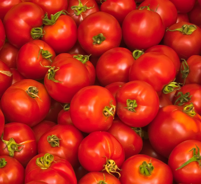 Sungold Cherry tomatos