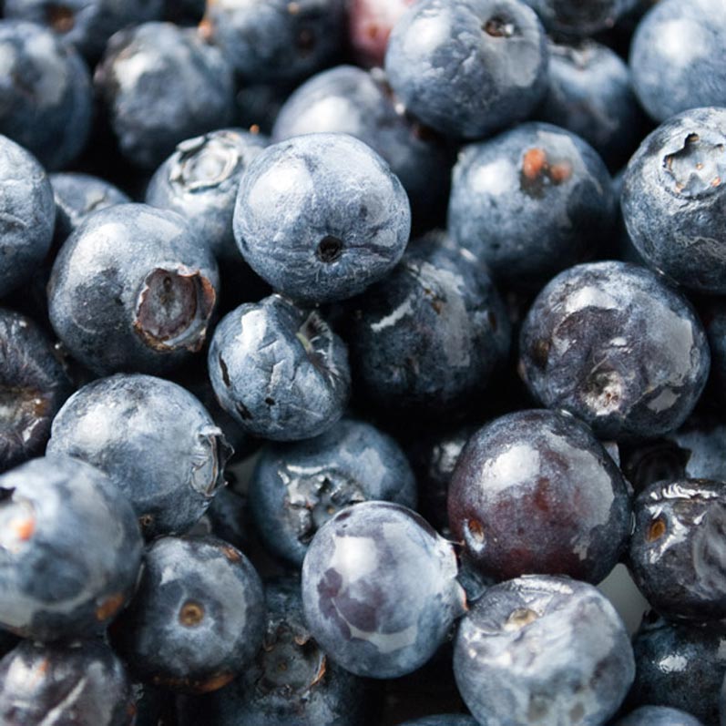 Fresh Blueberry Primer |LunaCafe
