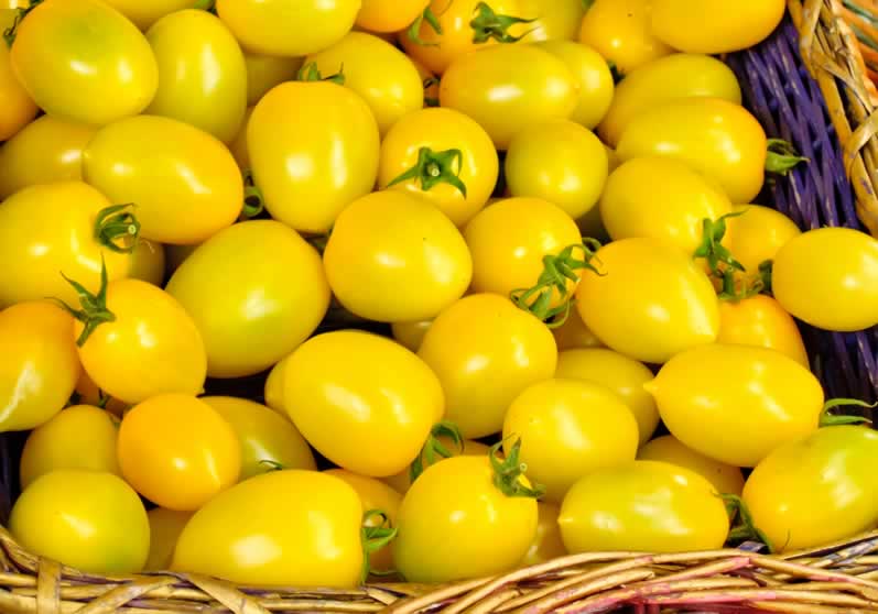 Yellow tomatos