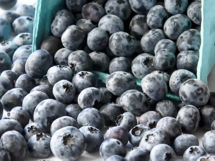 northwest Blueberries