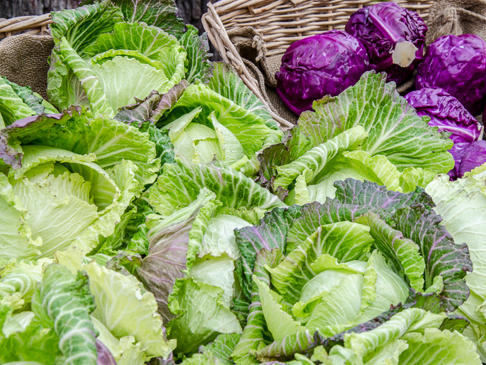 Portland Farmers Market Opening Day 2014: Cabbage