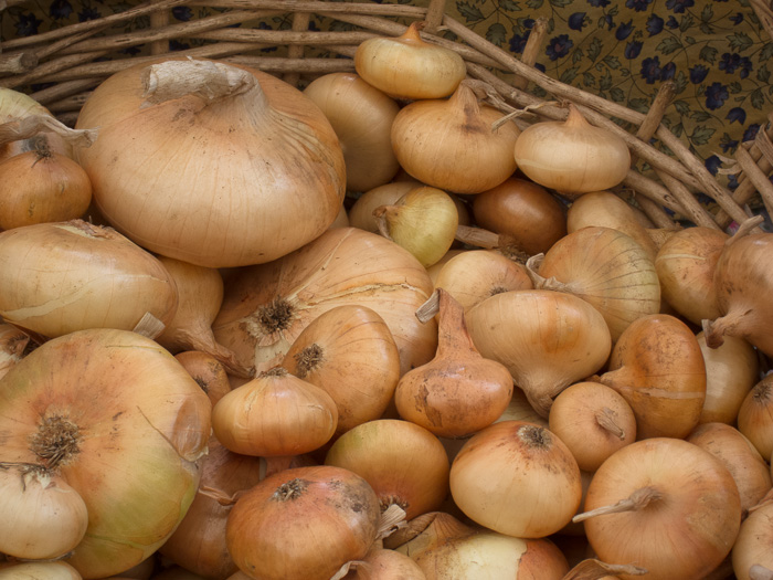 Portland Farmers Market Opening Day 2014: Cippolini Onions