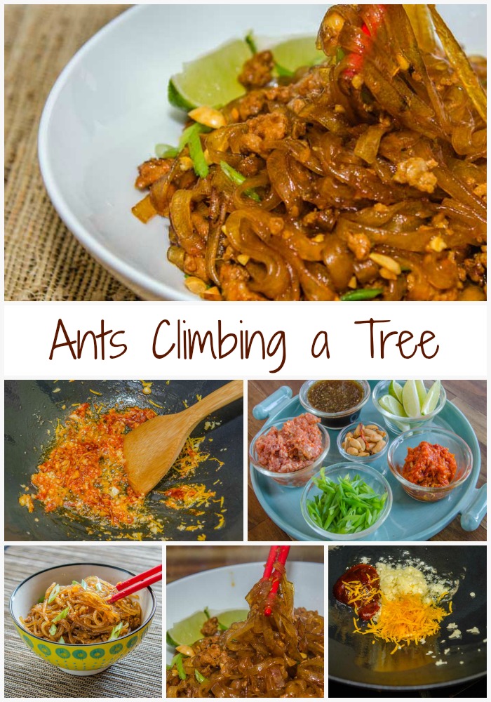 Ants Climbing a Tree | LunaCafe