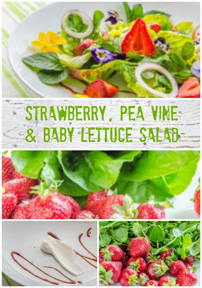 Strawberry, Pea Vine & Baby Lettuce Salad w Strawberry Balsamic Syrup | LunaCafe